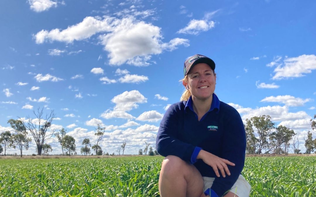 Queensland agronomist bridging the gap between domestic and global markets